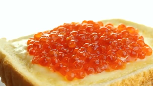 Sandwich with caviar — Stock Video