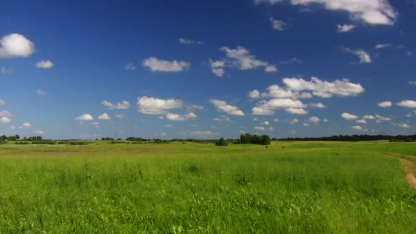 Landskap, blå himmel, timelapse — Stockvideo