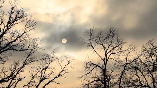 Dramatic sky, timelapse — Stock Video