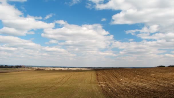 Frühlingslandschaft, Feld, Zeitraffer — Stockvideo