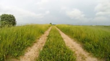 yol boyunca çayır