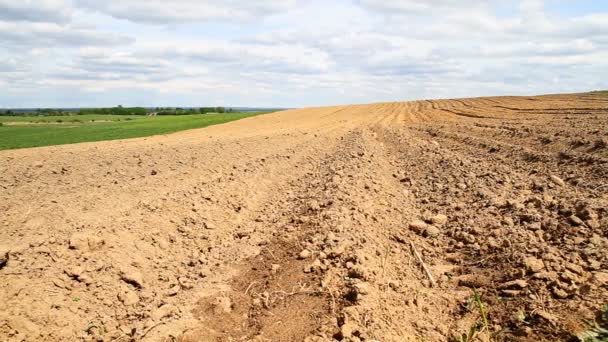 Plowed field, spring — Stock Video