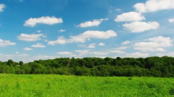 Lansekap, langit biru, timelapse — Stok Video