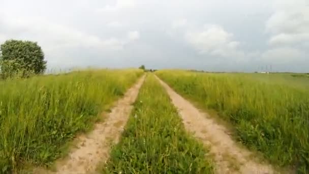 Estrada através do prado — Vídeo de Stock