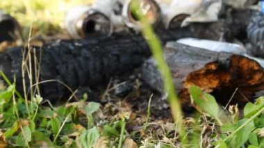 Ormanın içinde çöp