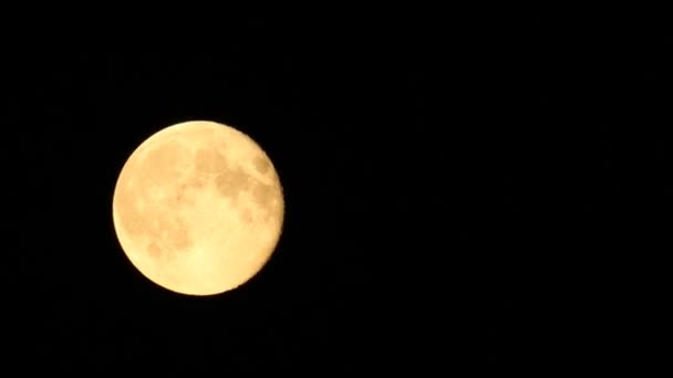 Volle maan beweegt langs de hemel in de wolken — Stockvideo