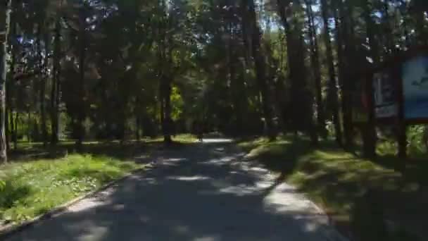 Radfahren im Park — Stockvideo