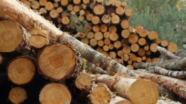 Boyutlanmış kereste