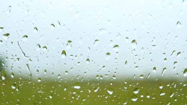 Esőcseppek üvegre — Stock videók