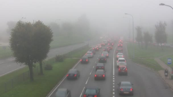 Утреннее движение в тумане — стоковое видео
