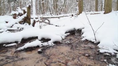 Kış creek, kaymak