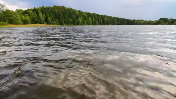 Zomer lake — Stockvideo