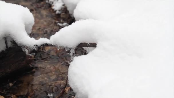 冬の小川、スライダー — ストック動画