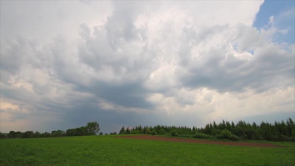 Verão paisagem, nuvens de tempestade, timelapse — Vídeo de Stock