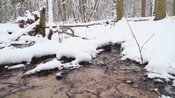 Kış creek, kaymak — Stok video