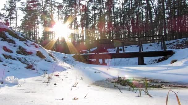 Foresta invernale e il sole, timelapse — Video Stock