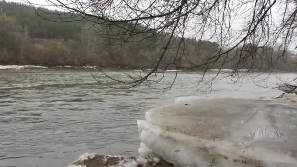 Fiume di primavera, timelapse — Video Stock