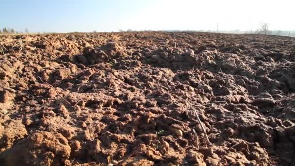 Campo de arado, control deslizante — Vídeo de stock