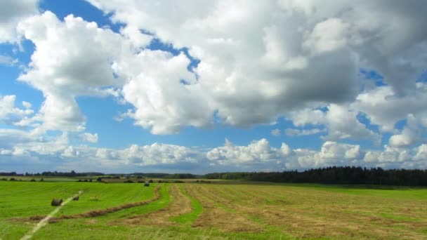 Paisaje con trabajos agrícolas, timelapse — Vídeos de Stock