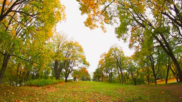 Herfstpark — Stockvideo