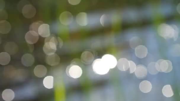 fond abstrait, bokeh 