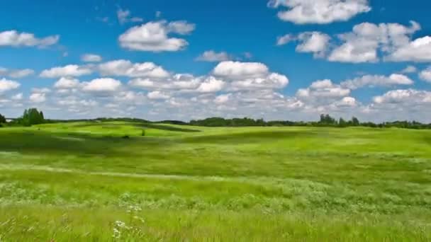 Letní krajina, timelapse — Stock video