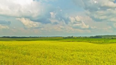 yeşil alan, vinç ile hızlandırılmış