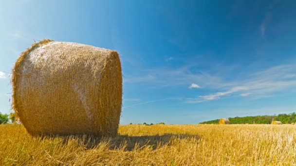 Bale de heno en el campo, lapso de tiempo con grúa — Vídeo de stock