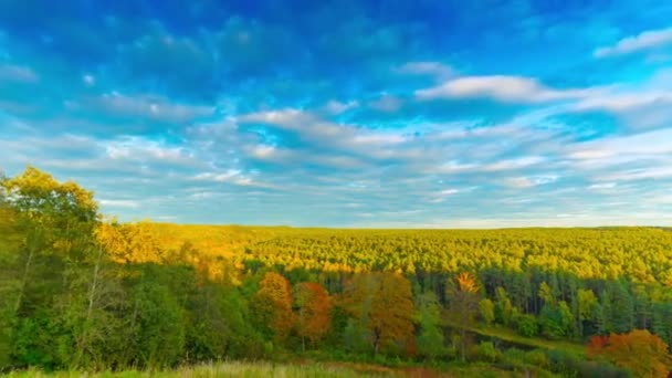 Autumn landscape, timelapse — Stock Video