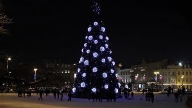 Noel ağacına katedral Meydanı, vilnius, Litvanya