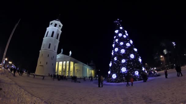 大聖堂広場、ビリニュス、リトアニアのクリスマス ツリー — ストック動画