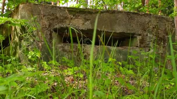 Militaire bunker — Stockvideo