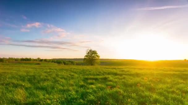 Paisagem de verão com pôr do sol, timelapse panorâmica — Vídeo de Stock