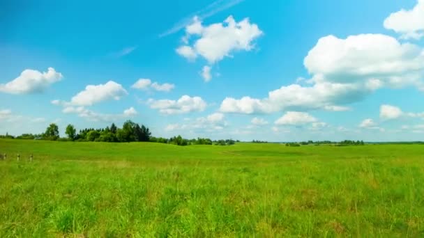 Summer landscape, panoramic time-lapse — Stock Video