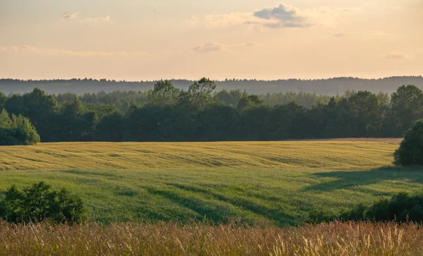 Landschap Met Velden Bos Bij Zonsondergang — Stockfoto