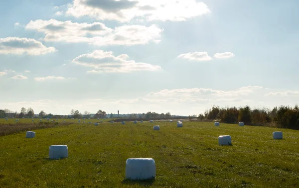 Landelijk Herfstlandschap Met Hooibergen — Stockfoto