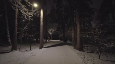 Kış parkında gece yürüyüşü
