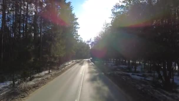 Αυτοκίνητο Ένα Δασικό Δρόμο Χειμώνα Προς Τον Ήλιο — Αρχείο Βίντεο