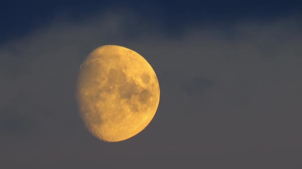 Großer Gelber Mond Nachthimmel — Stockvideo