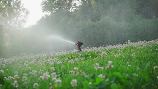 Wassersprenger Wässert Den Rasen Zeitlupe 250P — Stockvideo