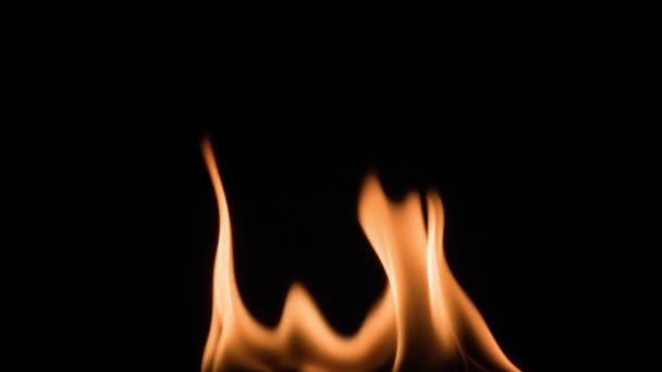 Tűz Fekete Háttér 500 Fps Lassított Felvétel — Stock videók