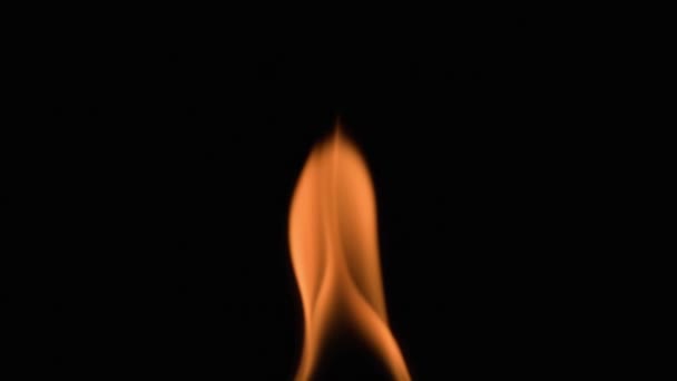 Fire Burns Black Background 500 Fps Slow Motion — Stock Video