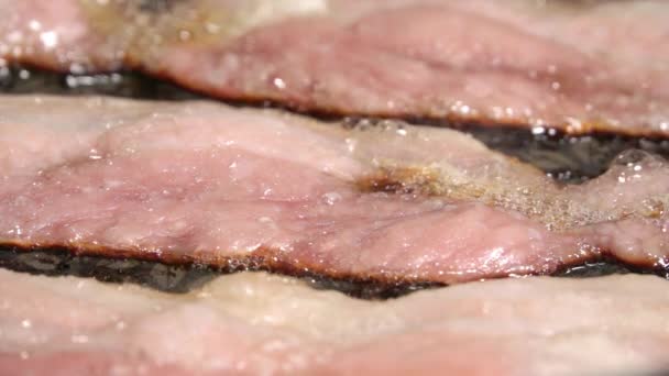Bacon Frit Dans Une Casserole Gros Plan — Video