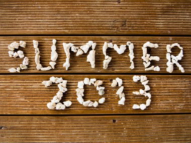 Maldivler tatil beldesinde 2013 Summers'ın keyfini çıkarın