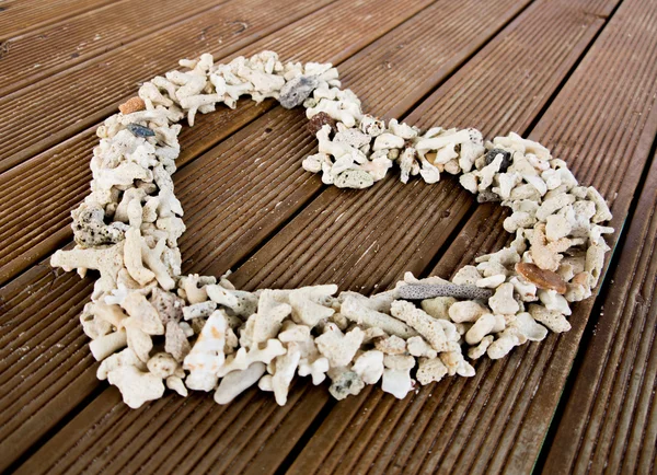 Seashells on plank wood — Stock Photo, Image
