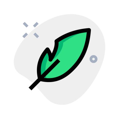 Modaya uygun hat sanatı için tüy kalemi aracı