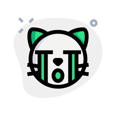 Ağlayan komik kedi, ağlayan ağlayan ağır gözyaşlarıyla resim sunumu.