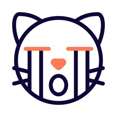 Ağlayan komik kedi, ağlayan ağlayan ağır gözyaşlarıyla resim sunumu.