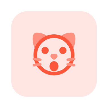 Ağzı açık kedi yüz ifadesi.