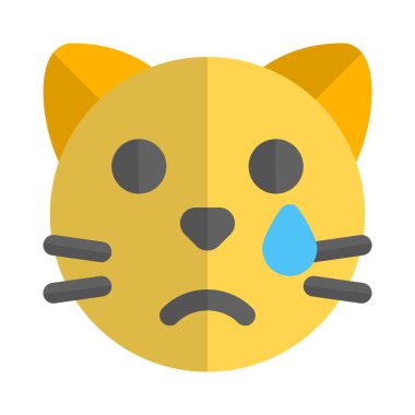 Gözyaşı damlası damlatan kedi.